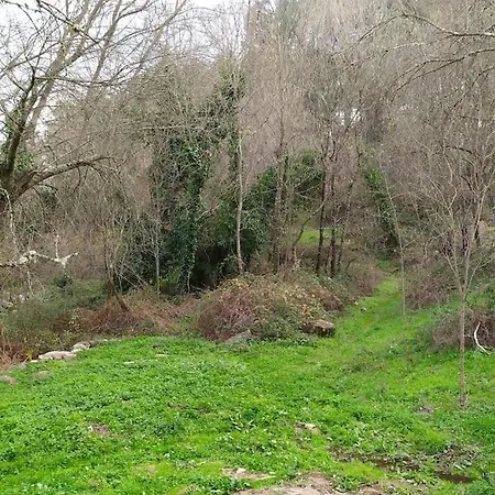 בית נופש Molino Mellado