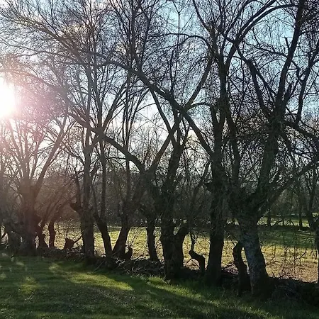 Molino Mellado * Casavieja