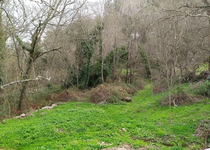 Hébergement de vacances Molino Mellado