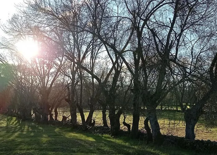 Molino Mellado * Casavieja